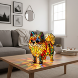 Fizz — Vibrant Pomeranian